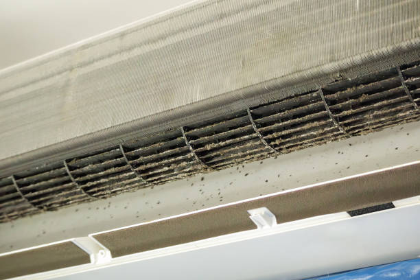 Best Air Duct Cleaning Near Me  in Madison, MS